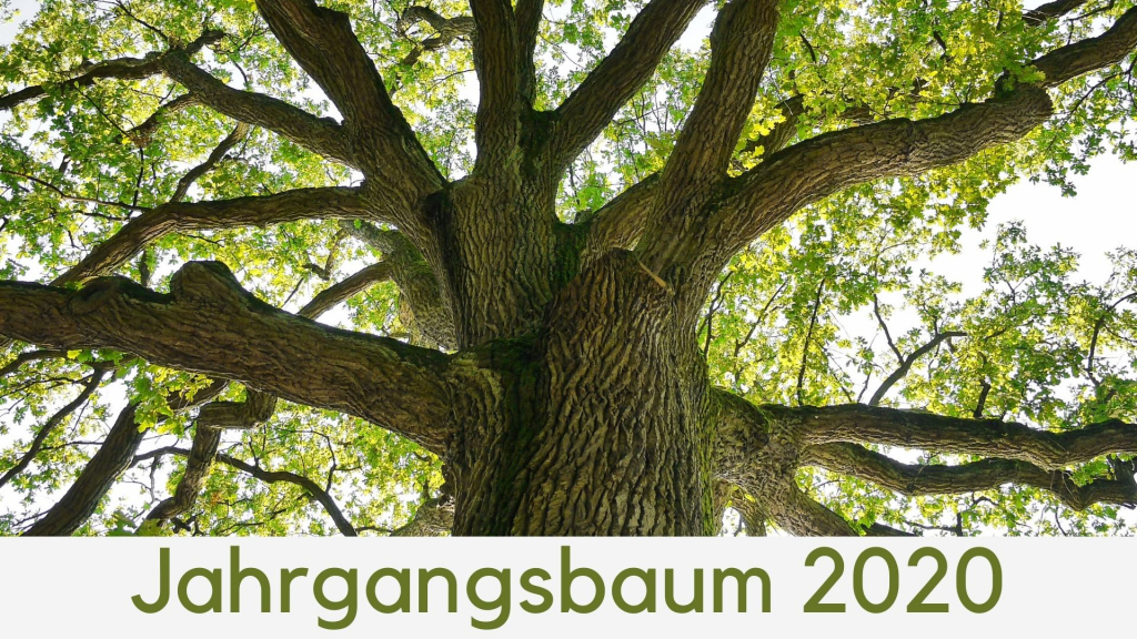 Jahrgangsbaum_2020