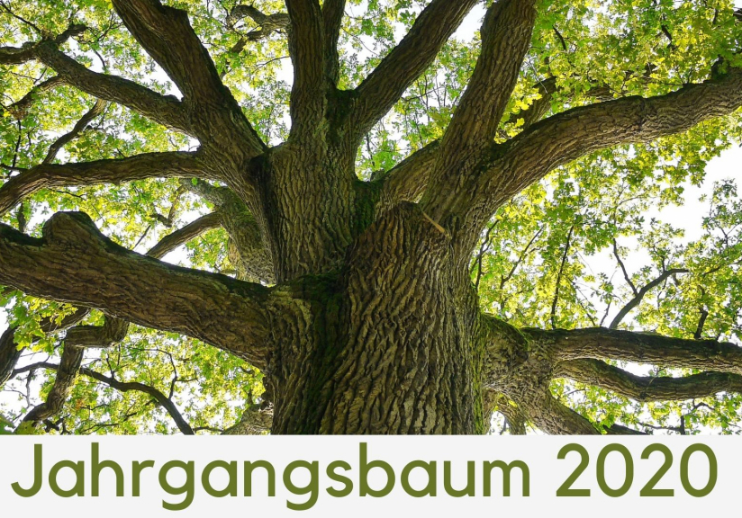 Jahrgangsbaum_2020_kopie_1