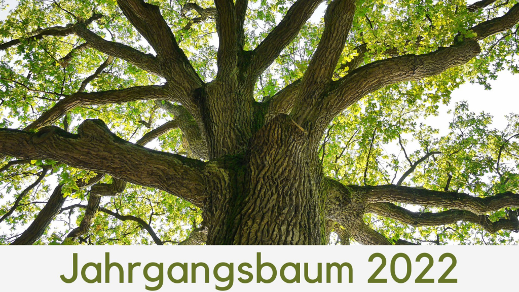 Jahrgangsbaum_2021-1