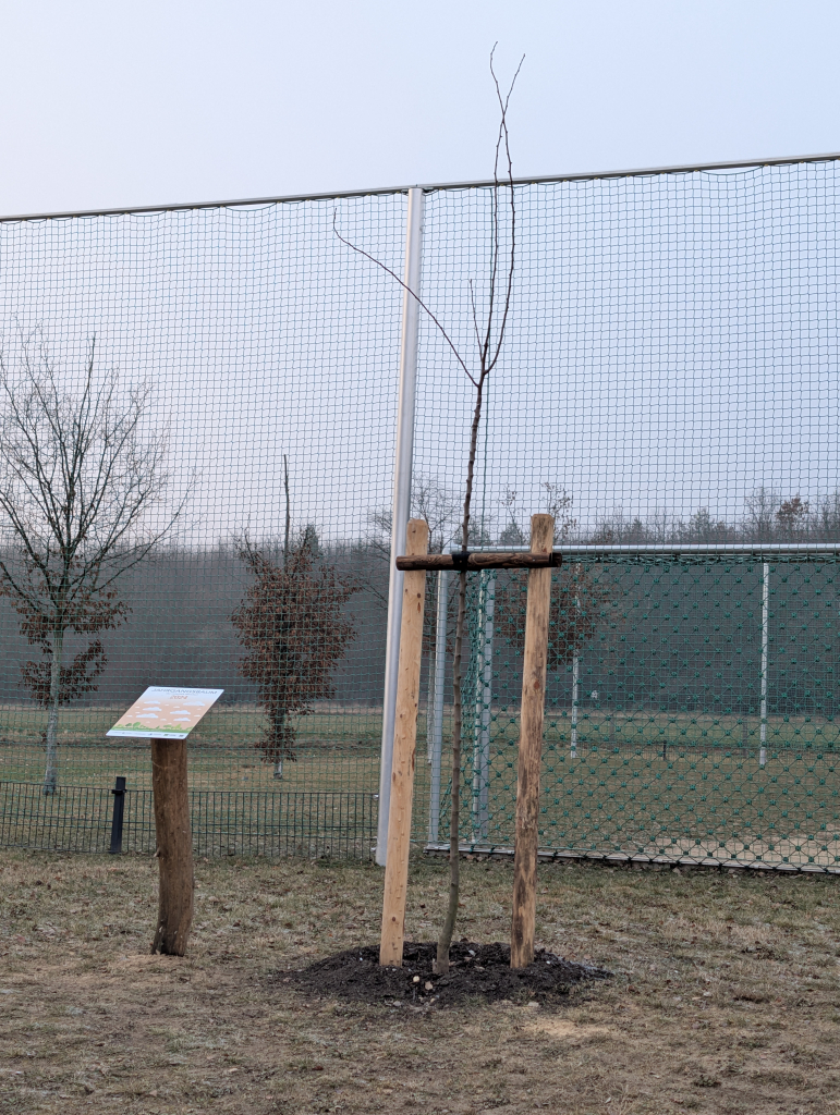 PXL_20251226_135746697